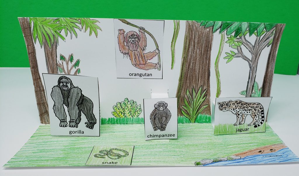 A photo of a rainforest habitat with animals that pop up off the page.