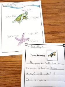 Venn diagram and writing for Turtle and starfish