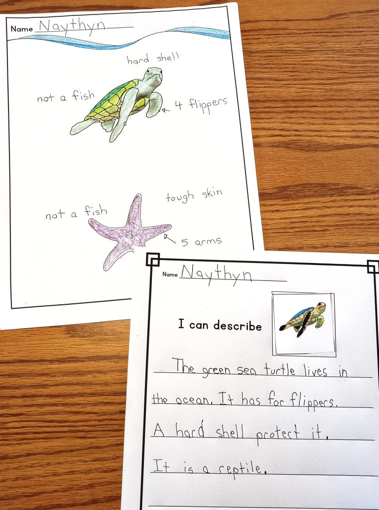 Students can label the illustrations of the two animals or write a description of one of the animals.