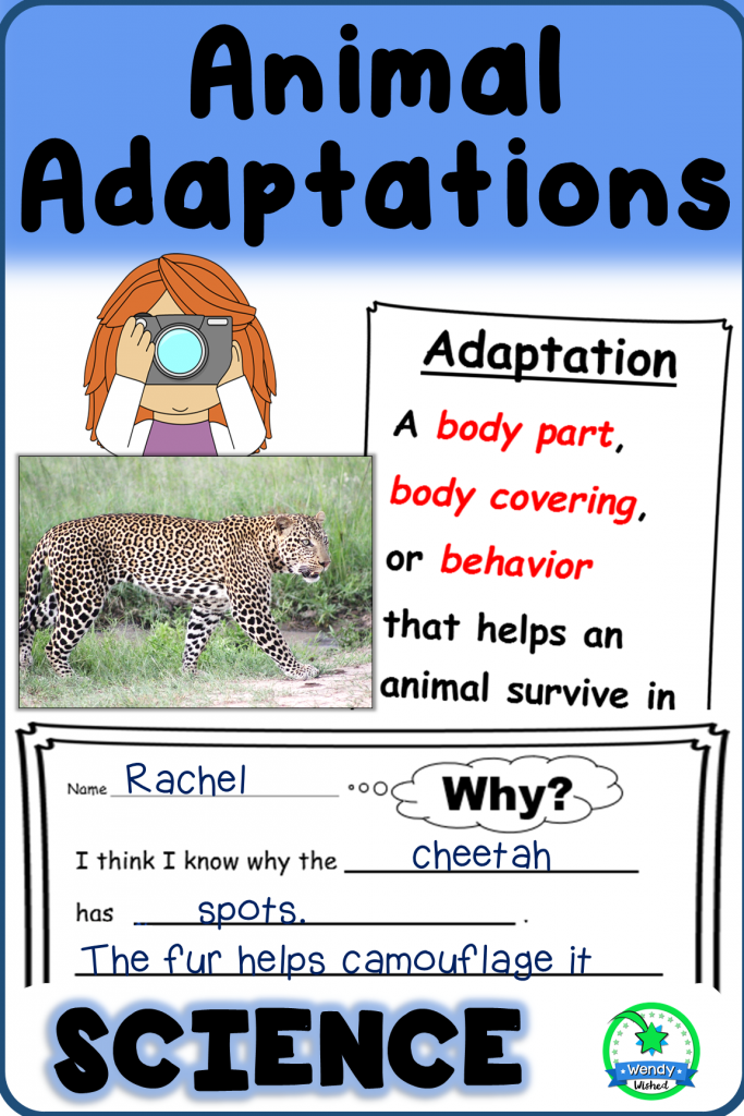 Animal Adaptation Science Resource offers all three steps to help teach science concepts.