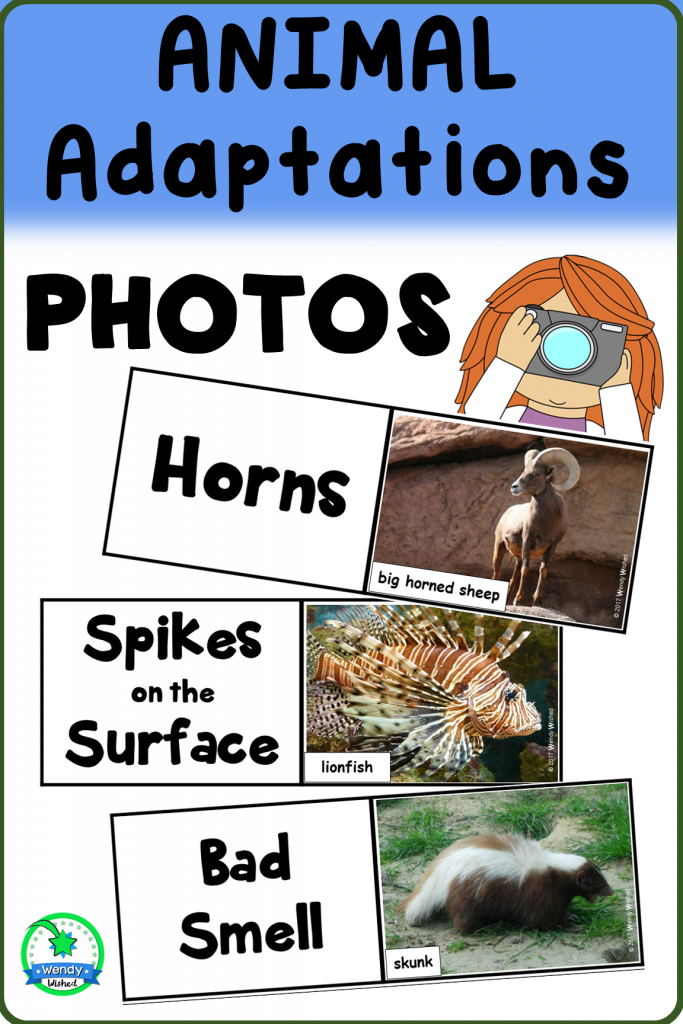 Animal adaptation photos show horns, spikes and bad smells.