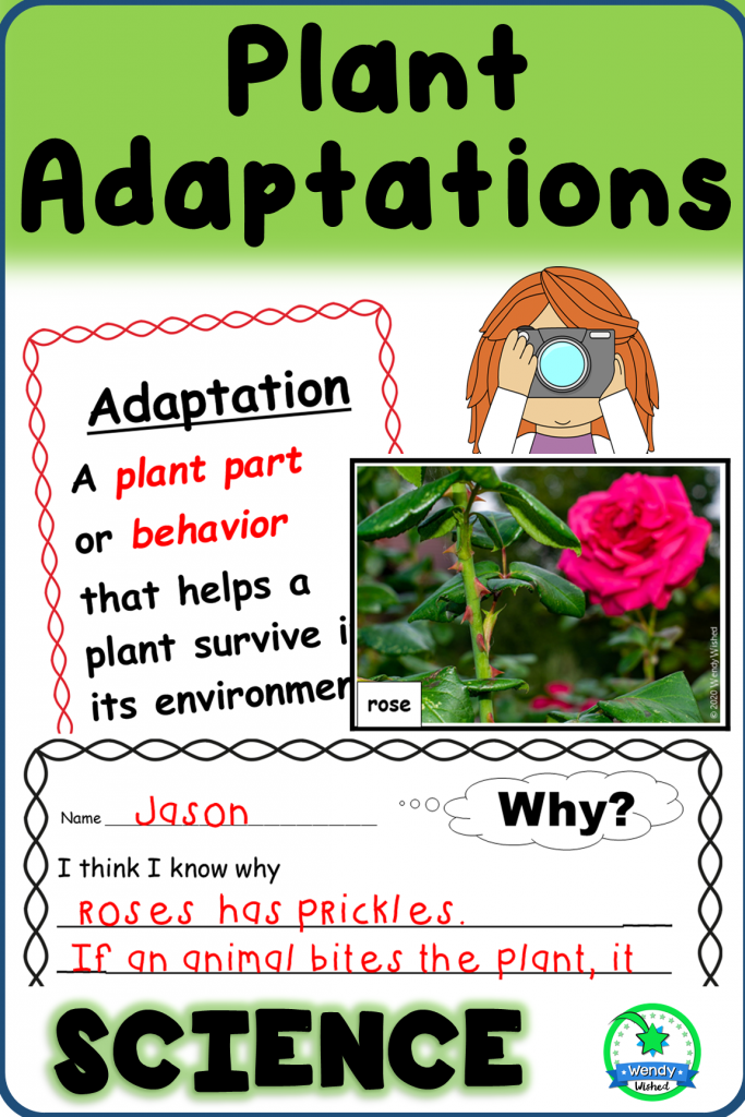 Plant Adaptation Science Resource offers all three steps to help teach science concepts.