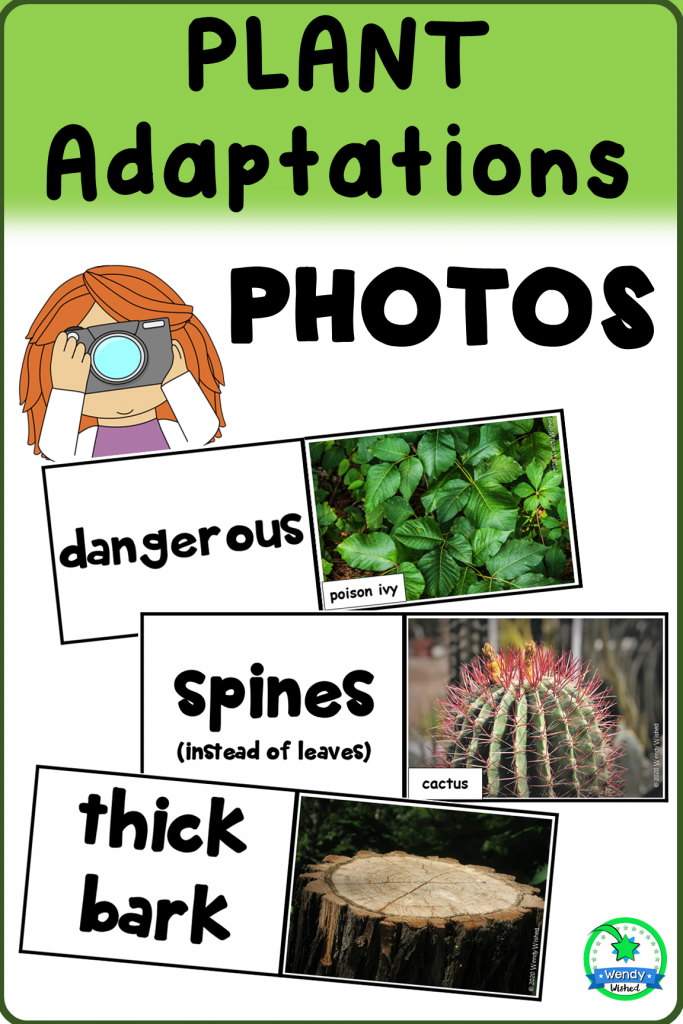 Plant adaptations photos show dangerous traits, spines, and thick bark.