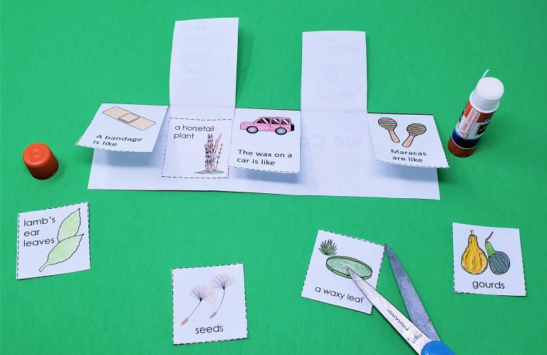 Photo of lift the flap science worksheet matching object in nature to corresponding invention