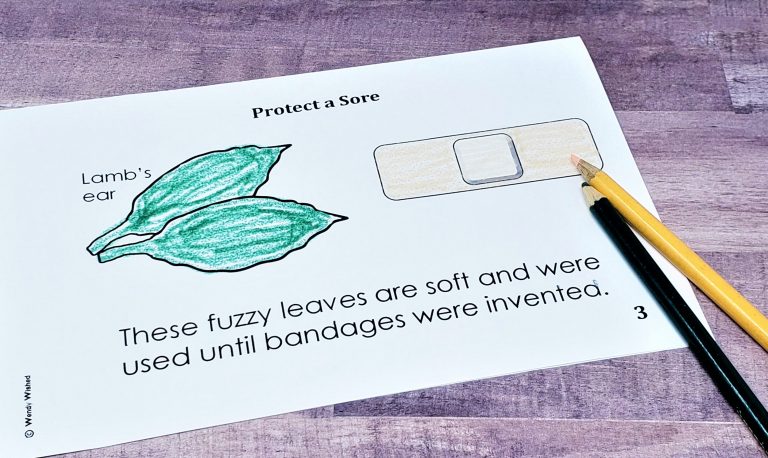 An image of printed book which student has colored a leaf green and a bandage peach