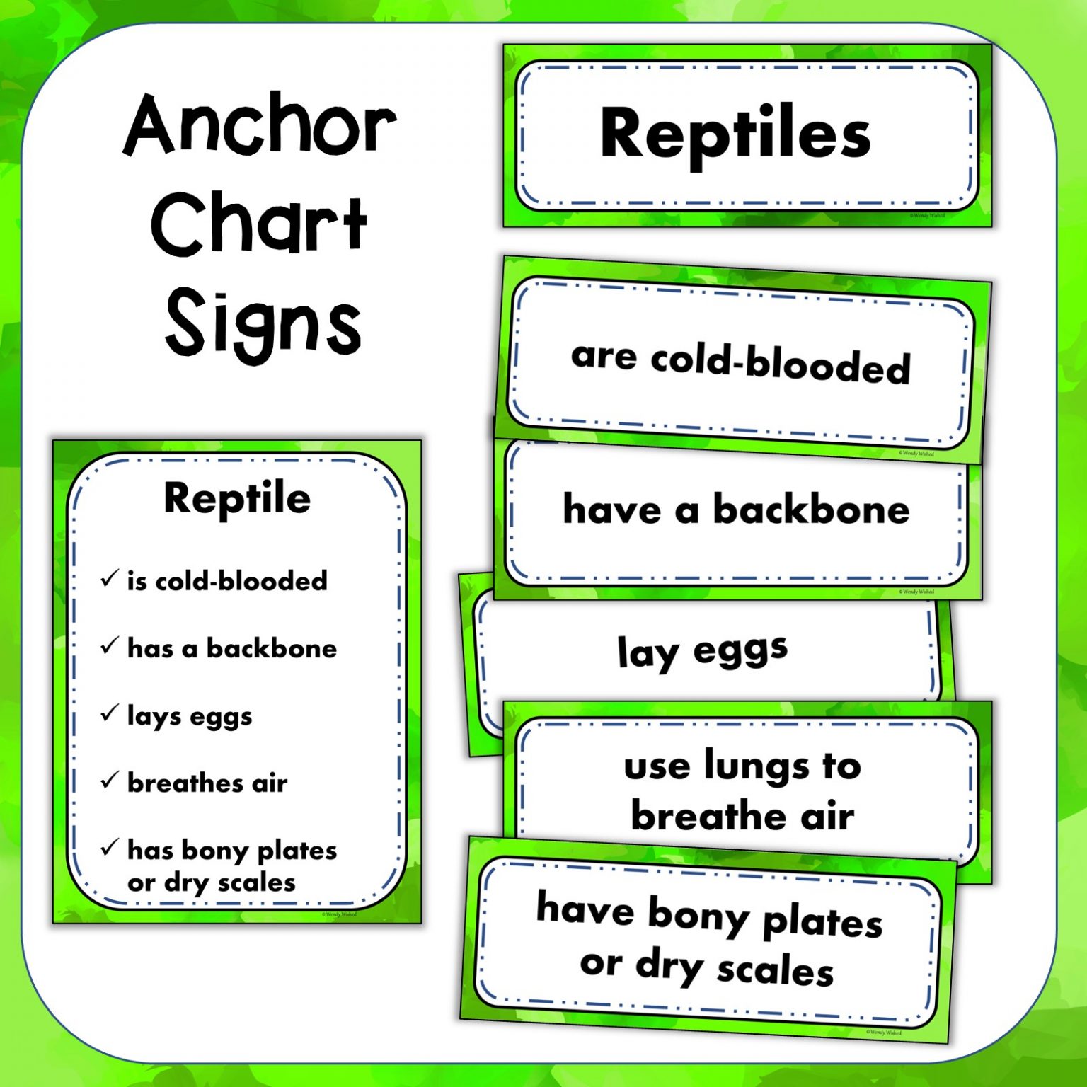 View of Get Materials for Teaching a Complete Reptile Science Lesson - Wendy ...