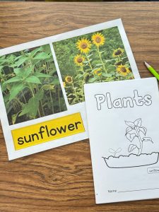 Plant Offspring vs Adult