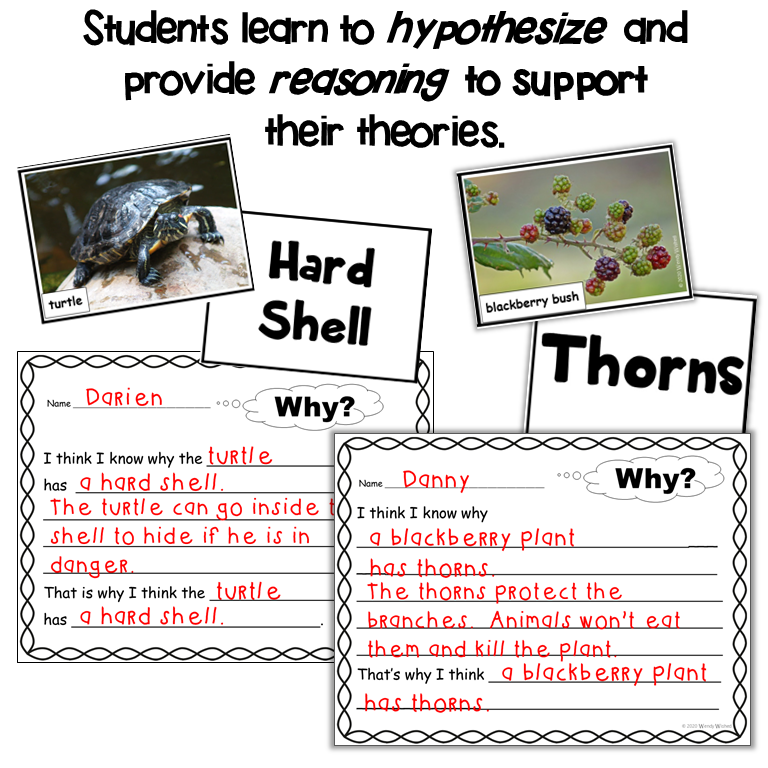 It states Students learn to hypothesize and provide reasoning to support their theories. Also includes a plant and animal photo, an adaptation card for hard shell and thorns, along with two writing examples.