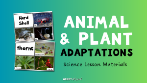 blog title and images Animal and Plant Adaptations Science Lesson Materials