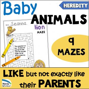 Image of Baby Animals - Like but not exactly like their parents 9 mazes