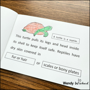 image of reptile group classification book showing a turtle