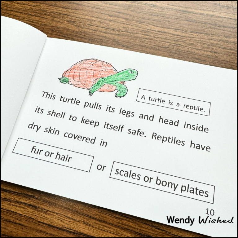 image of reptile group classification book showing a turtle
