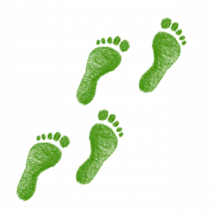 green footprint image