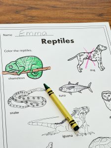 photo of "Color the Reptiles" worksheet for students to identify which animals have the traits of this group or classification of animals.