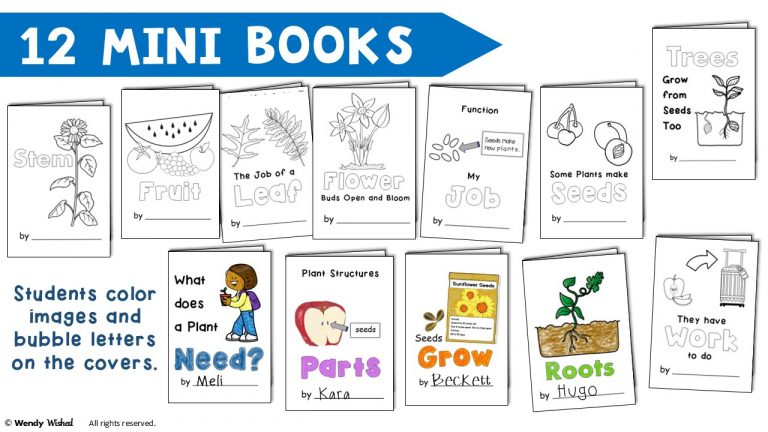 image of 12 plant mini books