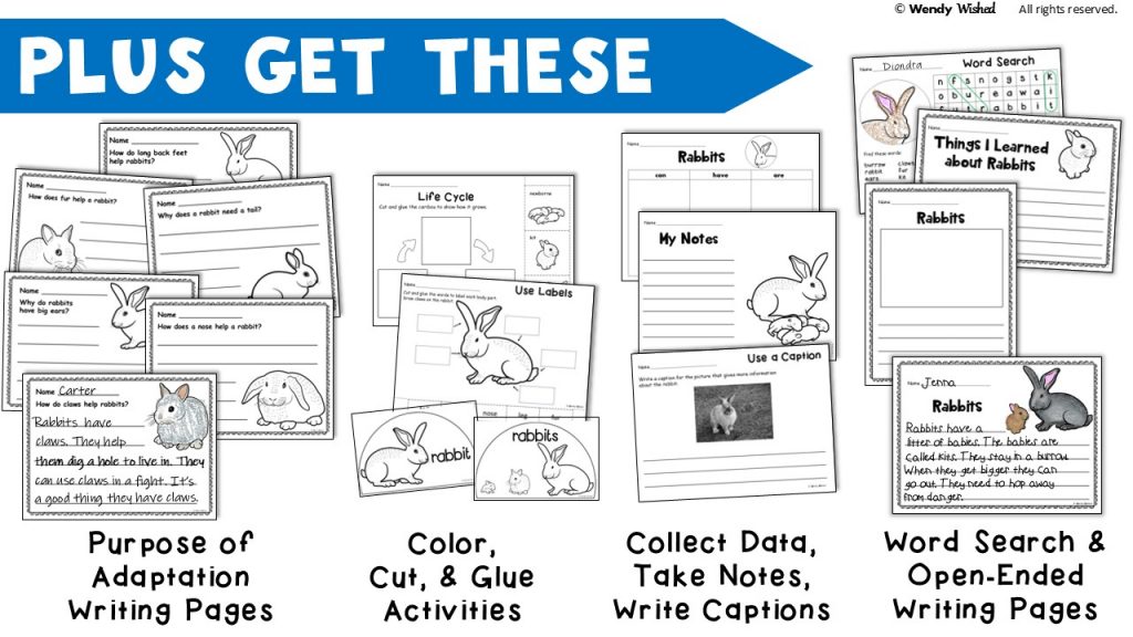 image of worksheets about rabbits