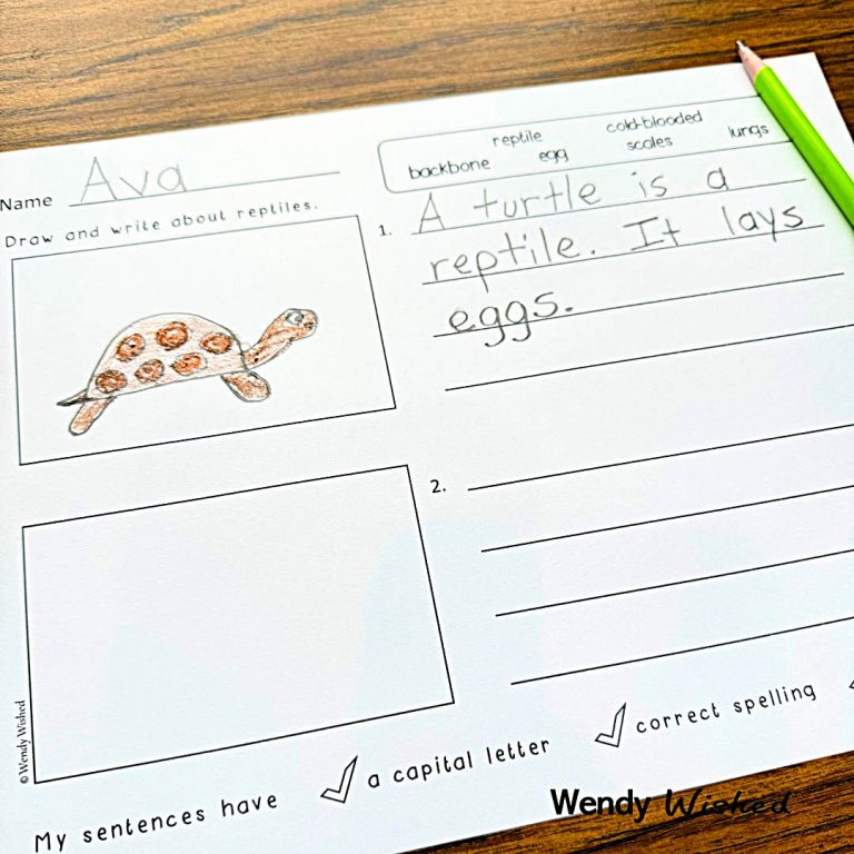 photo of a worksheet in which students draw and write about two reptiles.
