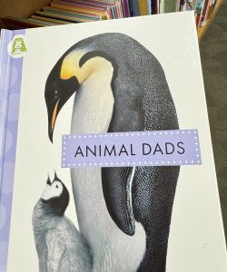 image of book cover, Animal Dads